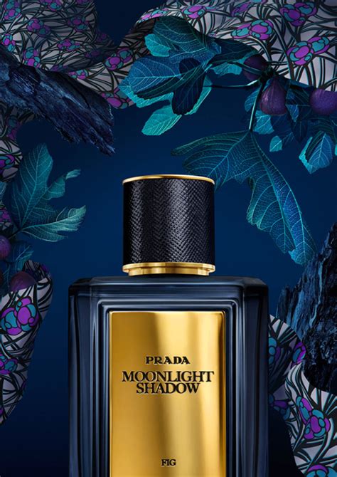 prada olfactories moonlight shadow famiglia olfattiva|Prada Olfactories Mirages 2018 ~ New Fragrances.